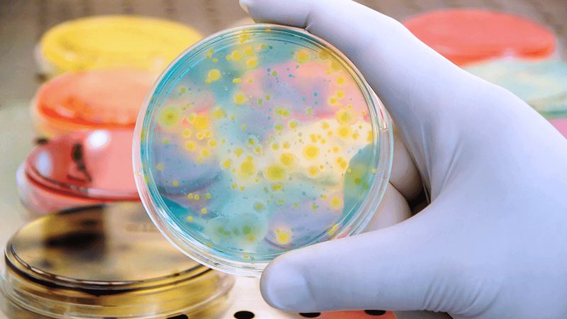 小分子CDMO批量化生产：揭秘制药企业的“幕后英雄”**
