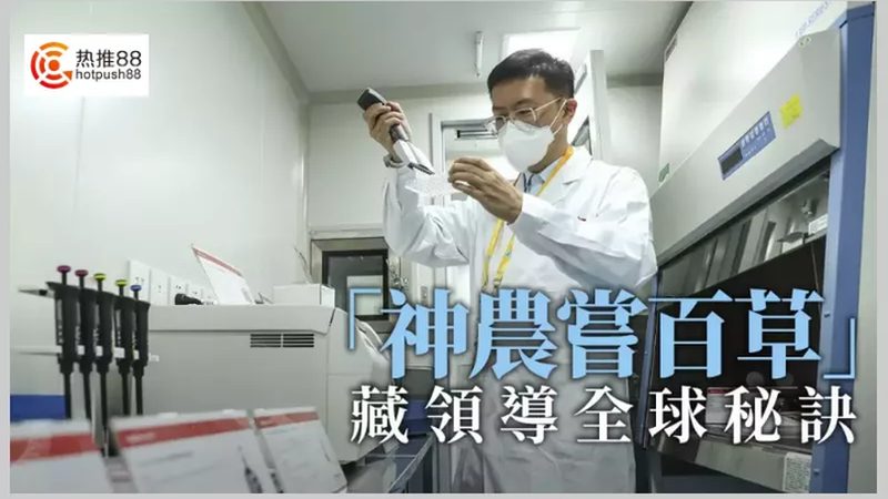 北京创新药CDMO公司：揭秘药物研发背后的关键角色