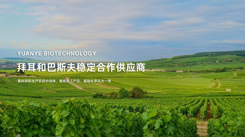 CDMO合同签订，这些关键事项不容忽视