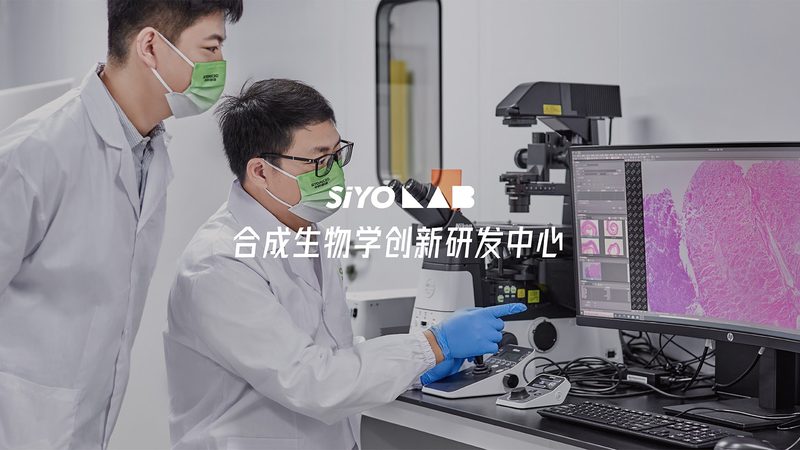 生物科技公司定制研发流程：揭秘高效研发之路**