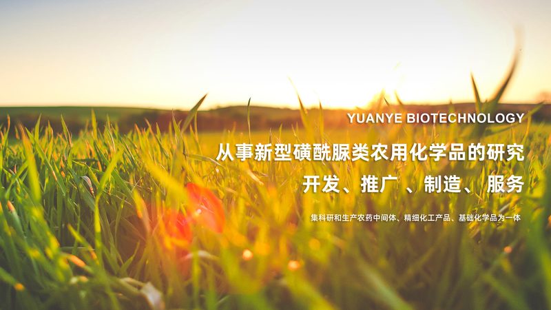 CDMO代理加盟，揭秘背后的成本与价值
