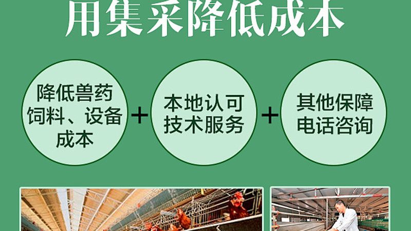 小分子化药定制研发：揭秘其独特优势**