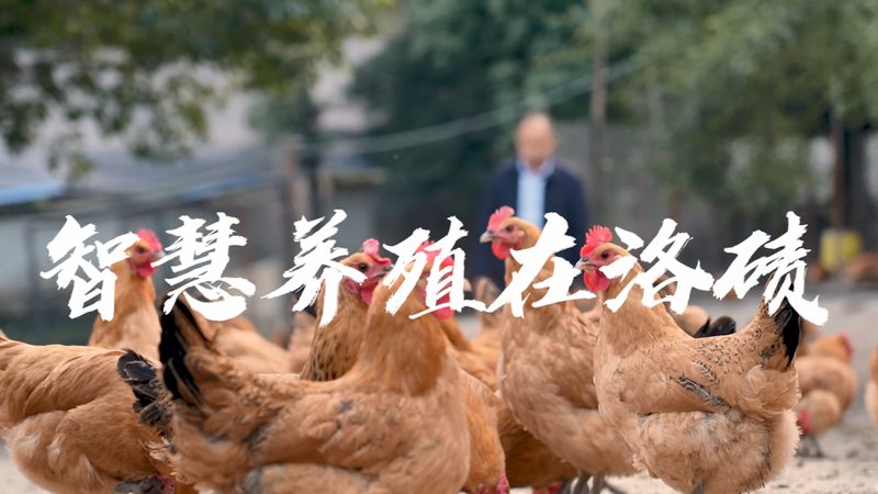 生物科技实验设备：价格背后的价值考量