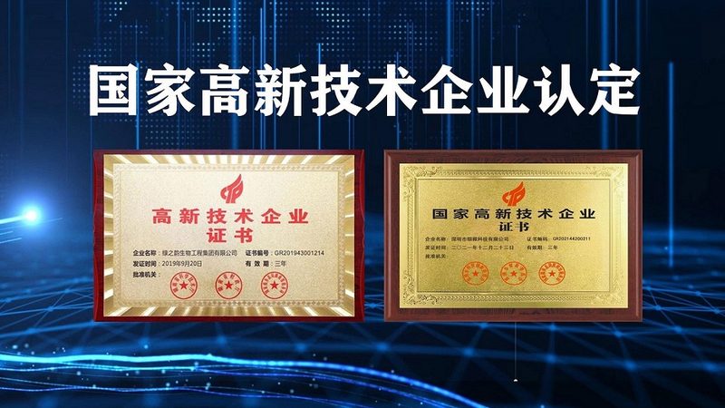 小分子CDMO工艺流程：揭秘药物研发的“幕后英雄”**