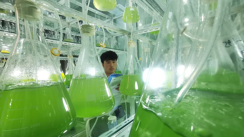 CDMO完整报价流程：揭秘医药研发的“幕后英雄